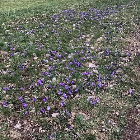 Daire Retro Mit Schlossblick Im Nordschwarzwald *